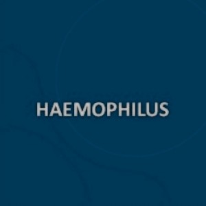 VACINA HAEMOPHILUS