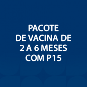 PACOTE DE VACINA DE 2 A 6 MESES COM P15